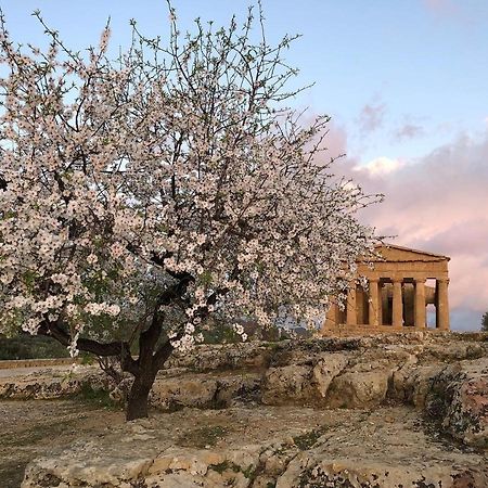 Alfa Quadro Bed and Breakfast Agrigento Buitenkant foto