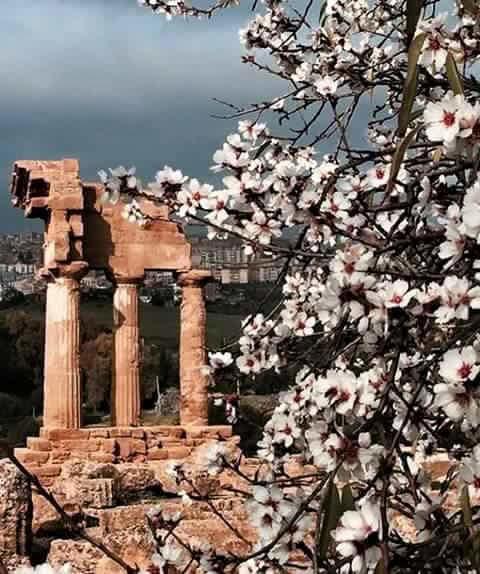 Alfa Quadro Bed and Breakfast Agrigento Buitenkant foto