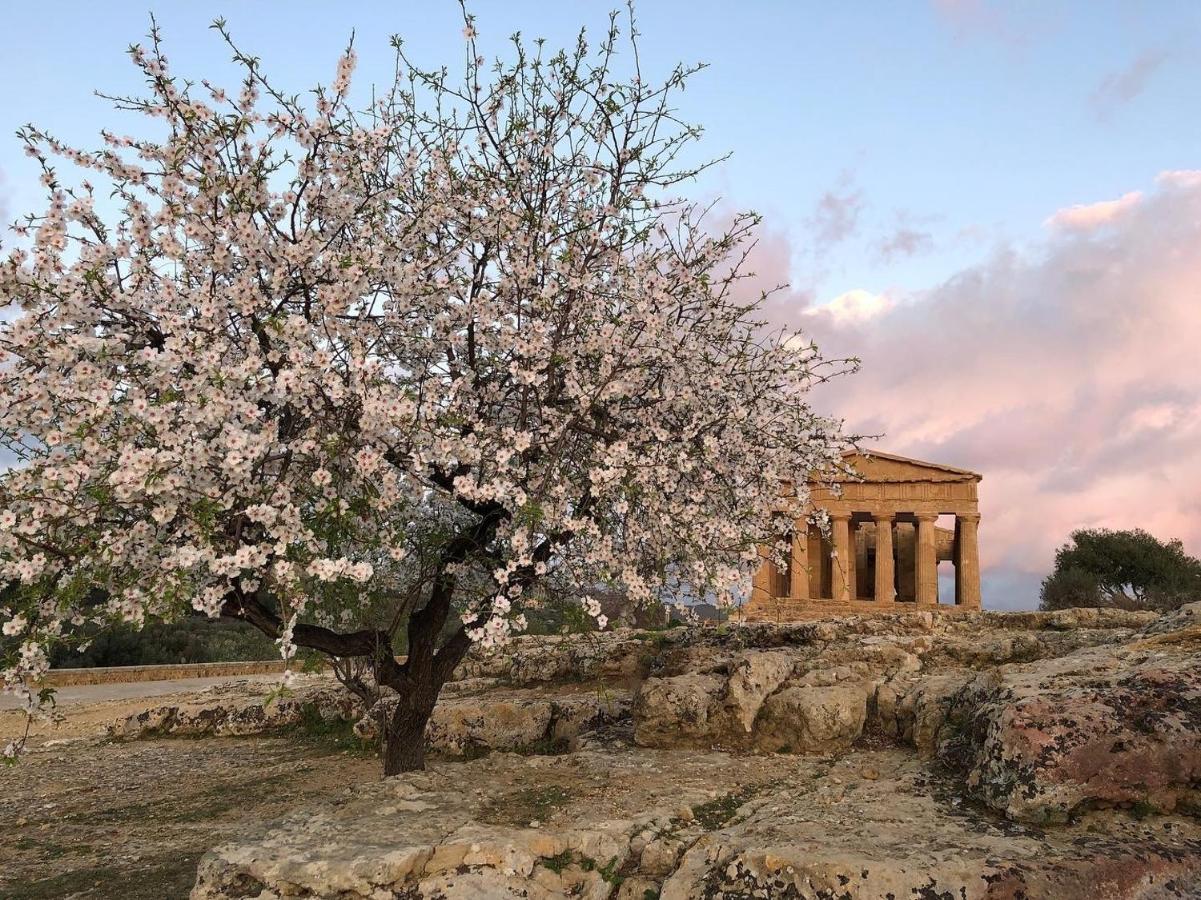 Alfa Quadro Bed and Breakfast Agrigento Buitenkant foto